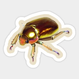 Golden Scarab Beetle Sticker